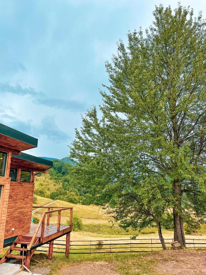 Utopia By Noratlas Heritage - Adults Only Buzau Exterior photo